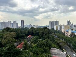 Holland Tower (D10), Apartment #536673841